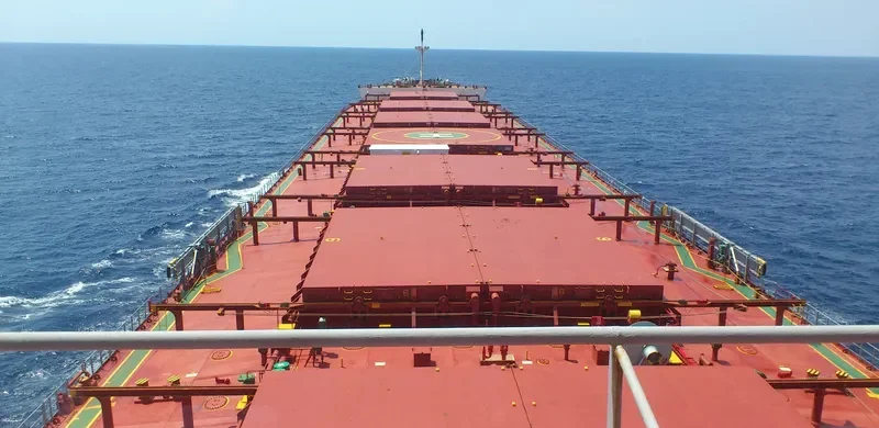 ASTRAEA SB Bulk Carrier IMO 9401960 photo 10