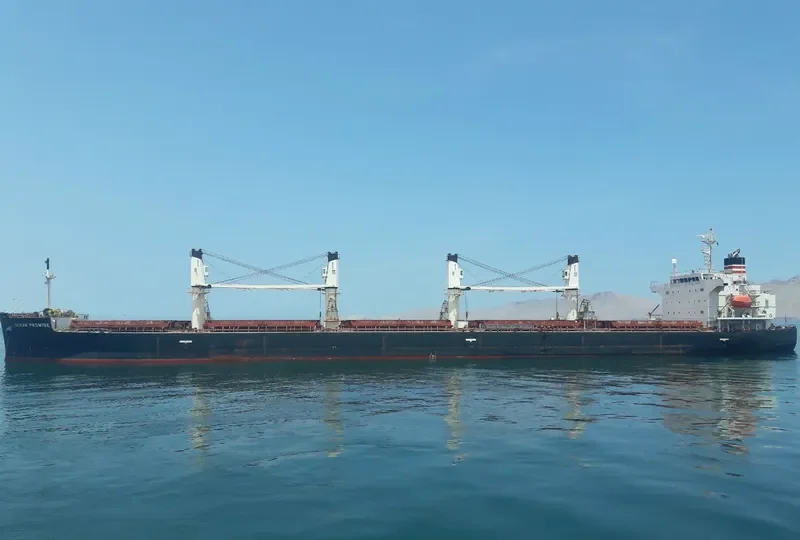 BONAS Bulk Carrier IMO 9401972