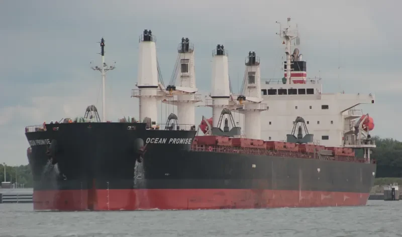 BONAS Bulk Carrier IMO 9401972 photo 2