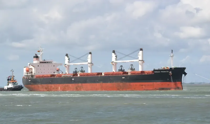 BONAS Bulk Carrier IMO 9401972 photo 3