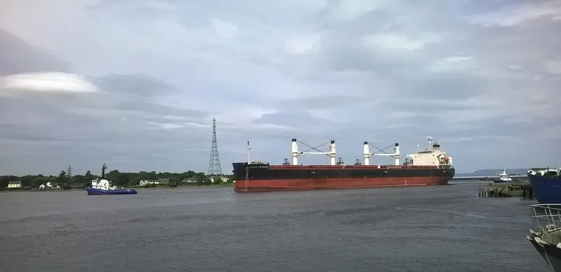 BONAS Bulk Carrier IMO 9401972 photo 6