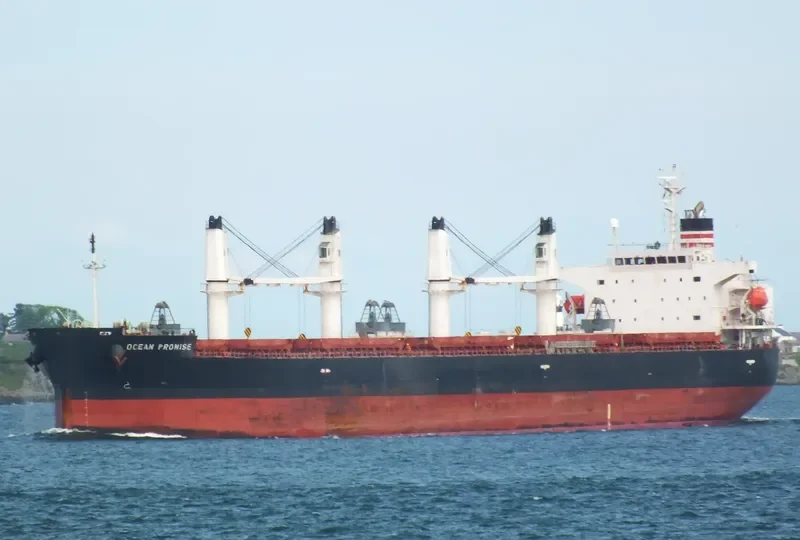 BONAS Bulk Carrier IMO 9401972 photo 7