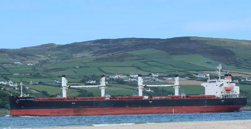BONAS Bulk Carrier IMO 9401972 photo 8