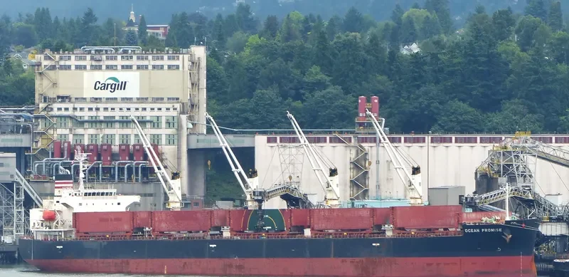 BONAS Bulk Carrier IMO 9401972 photo 9