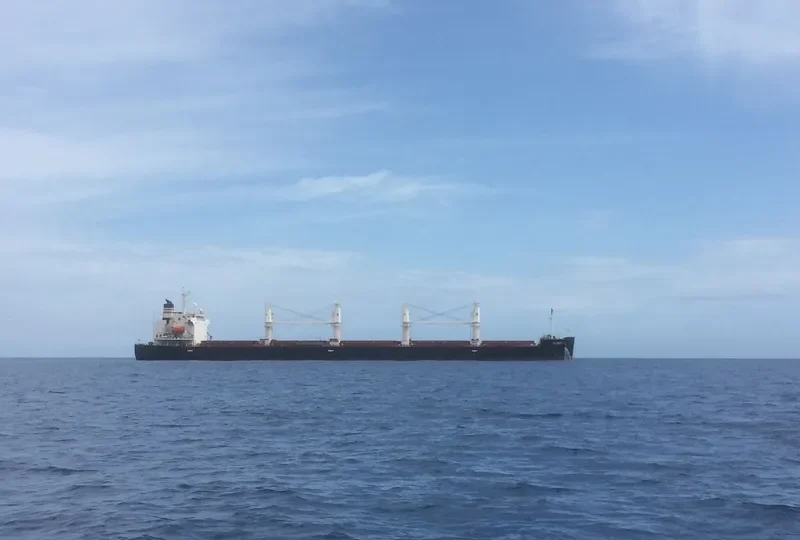 LAKE PEARL Bulk Carrier IMO 9401984