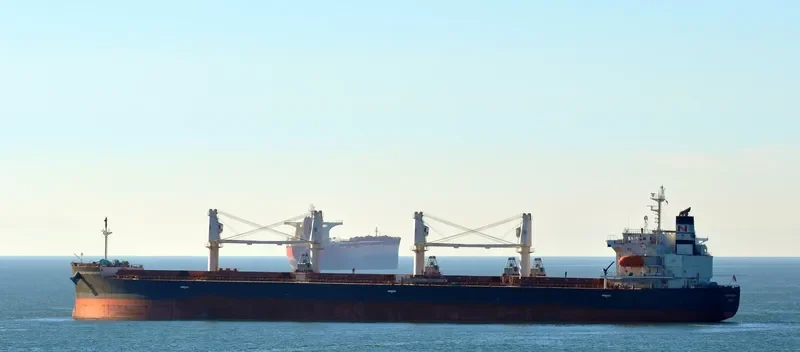 LAKE PEARL Bulk Carrier IMO 9401984 photo 4