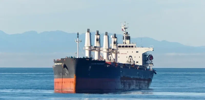 LAKE PEARL Bulk Carrier IMO 9401984 photo 5