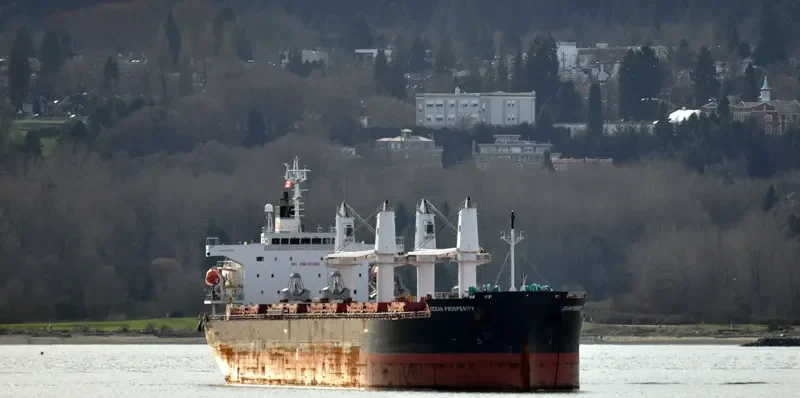 LAKE PEARL Bulk Carrier IMO 9401984 photo 6