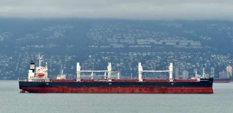 LAKE PEARL Bulk Carrier IMO 9401984 photo 7