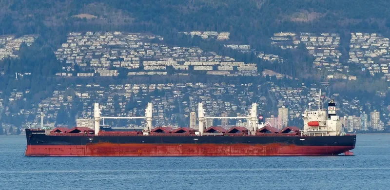 LAKE PEARL Bulk Carrier IMO 9401984 photo 8