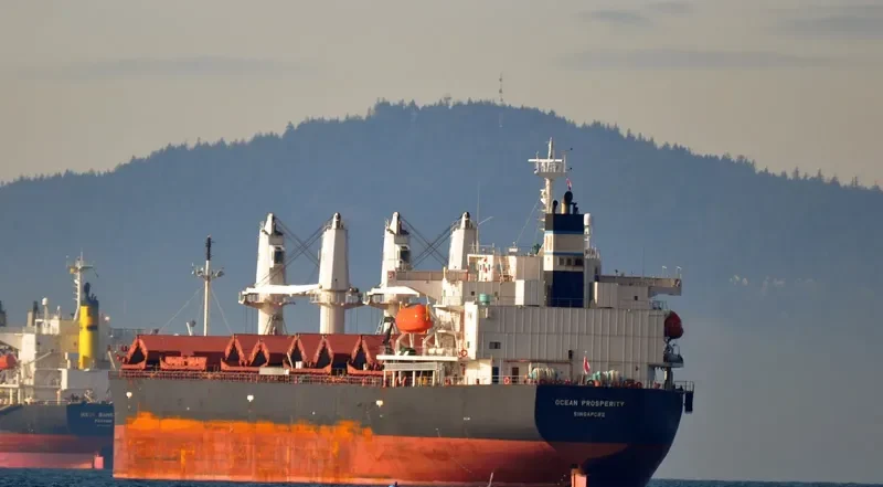 LAKE PEARL Bulk Carrier IMO 9401984 photo 9
