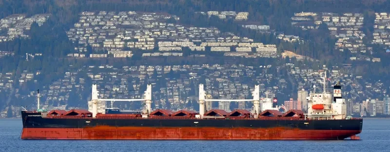 LAKE PEARL Bulk Carrier IMO 9401984 photo 10