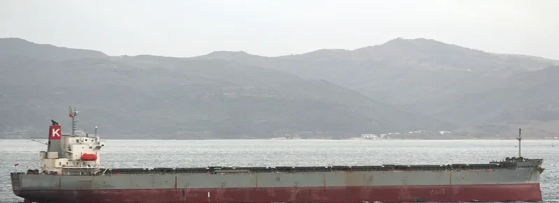 SUNSHINE BLISS Bulk Carrier IMO 9401996 photo 2