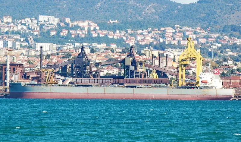 SUNSHINE BLISS Bulk Carrier IMO 9401996 photo 3