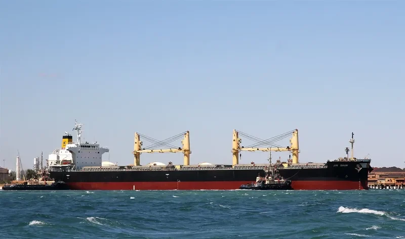 EM SAPPHIRE Bulk Carrier IMO 9402005 photo 6