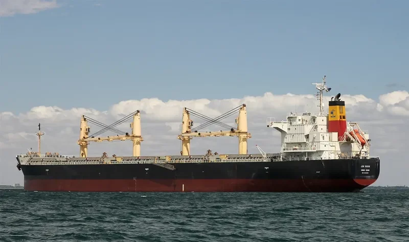 EM SAPPHIRE Bulk Carrier IMO 9402005 photo 8
