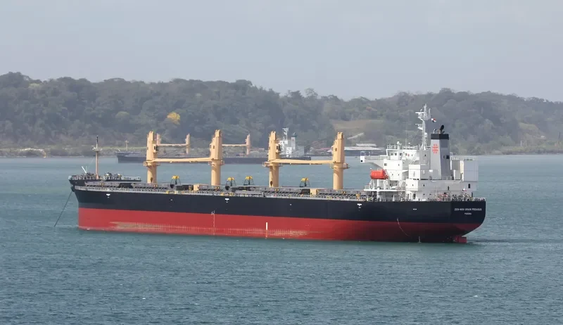 ZEN NOH GRAIN PEGASUS Bulk Carrier IMO 9402017 photo 3