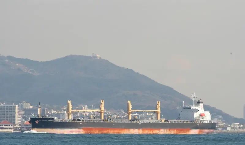 ZEN NOH GRAIN PEGASUS Bulk Carrier IMO 9402017 photo 6
