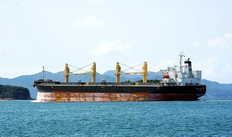 ZEN NOH GRAIN PEGASUS Bulk Carrier IMO 9402017 photo 7