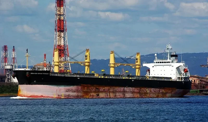 ZEN NOH GRAIN PEGASUS Bulk Carrier IMO 9402017 photo 8