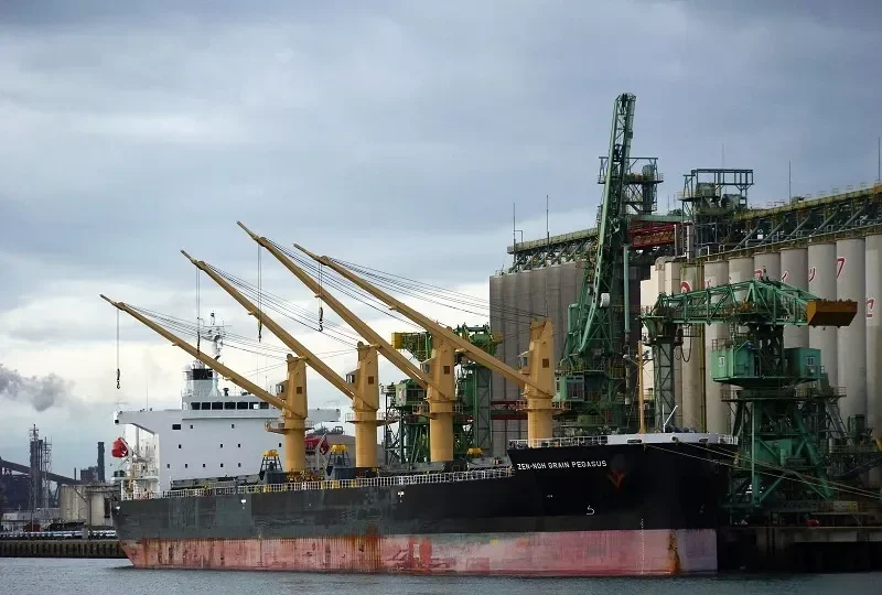 ZEN NOH GRAIN PEGASUS Bulk Carrier IMO 9402017 photo 10