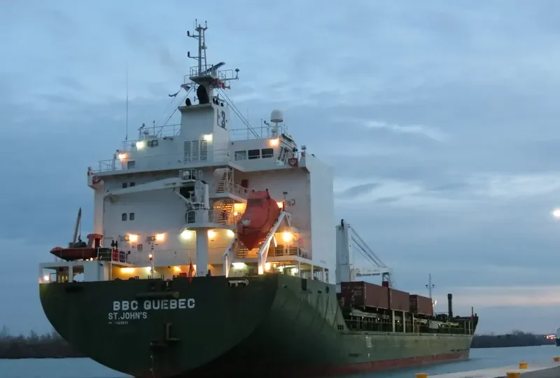 FESCO OLGA General Cargo IMO 9402031 photo 8