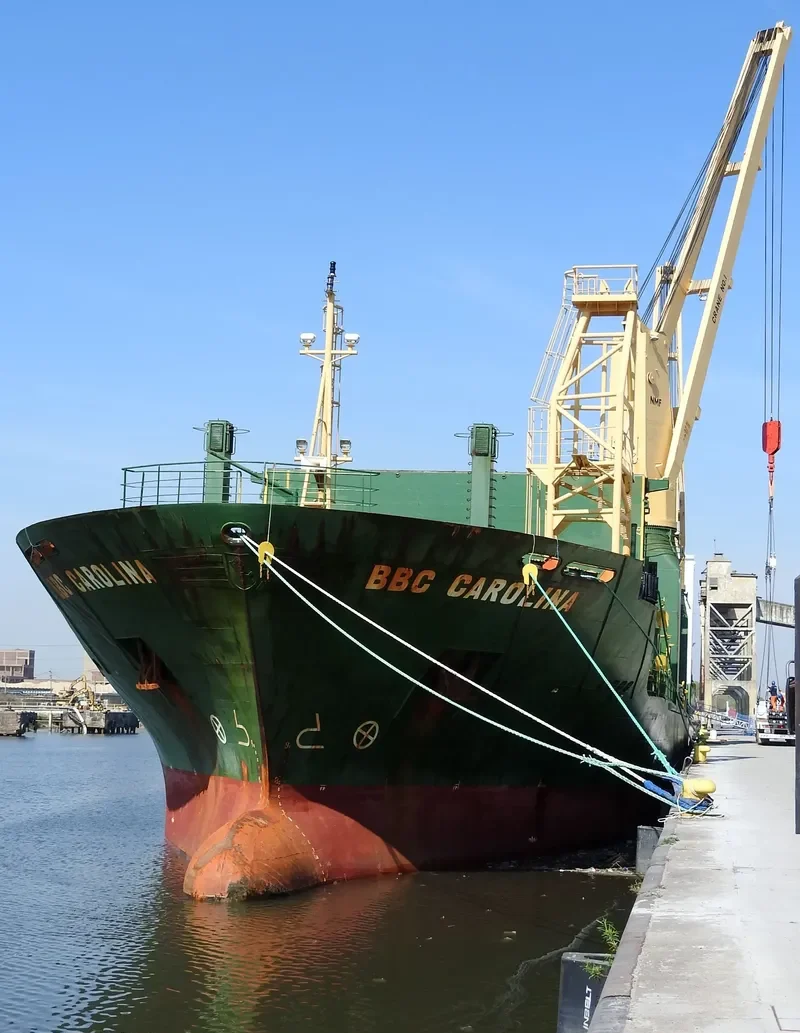 BBC CAROLINA General Cargo IMO 9402043 photo 10