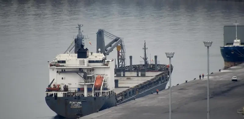 GWEN General Cargo IMO 9402067 photo 3