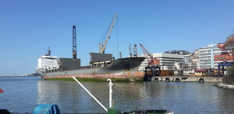 UAL FORTITUDE General Cargo IMO 9402079