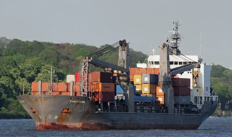 UAL FORTITUDE General Cargo IMO 9402079 photo 6