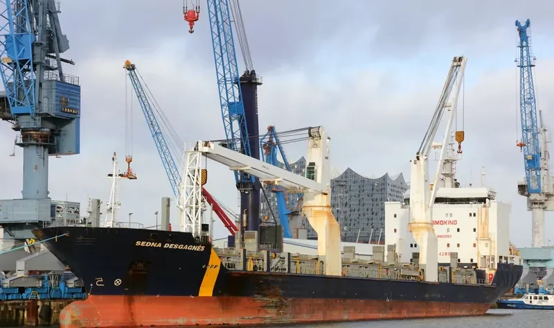SEDNA DESGAGNES General Cargo IMO 9402093 photo 10