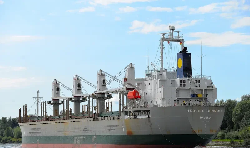 STRAITS BREEZE Bulk Carrier IMO 9402110 photo 4