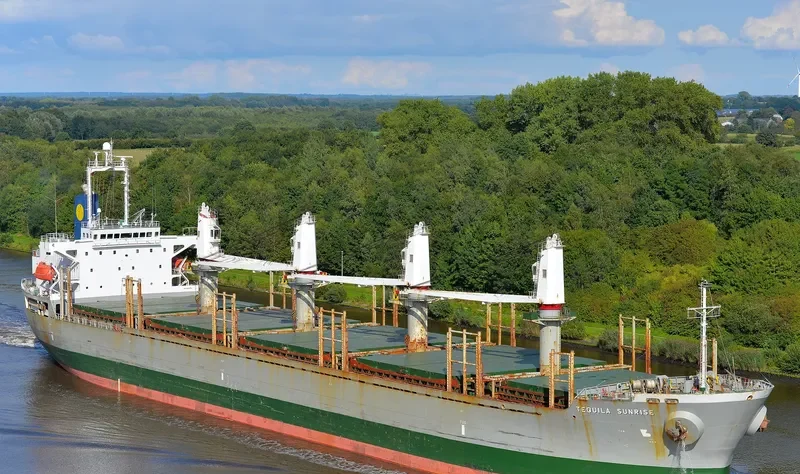 STRAITS BREEZE Bulk Carrier IMO 9402110 photo 6