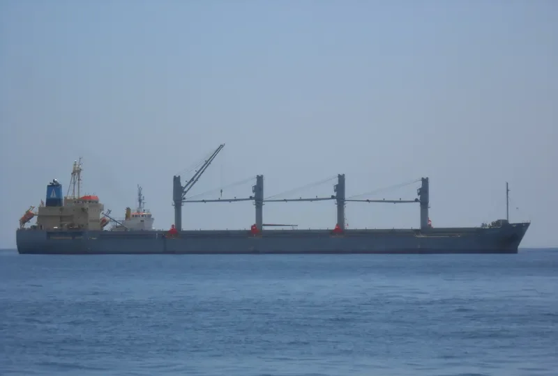 SUNSET Bulk Carrier IMO 9402122 photo 6