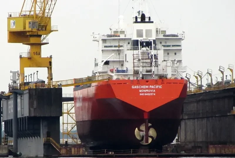 GASCHEM PACIFIC General Cargo IMO 9402574 photo 2