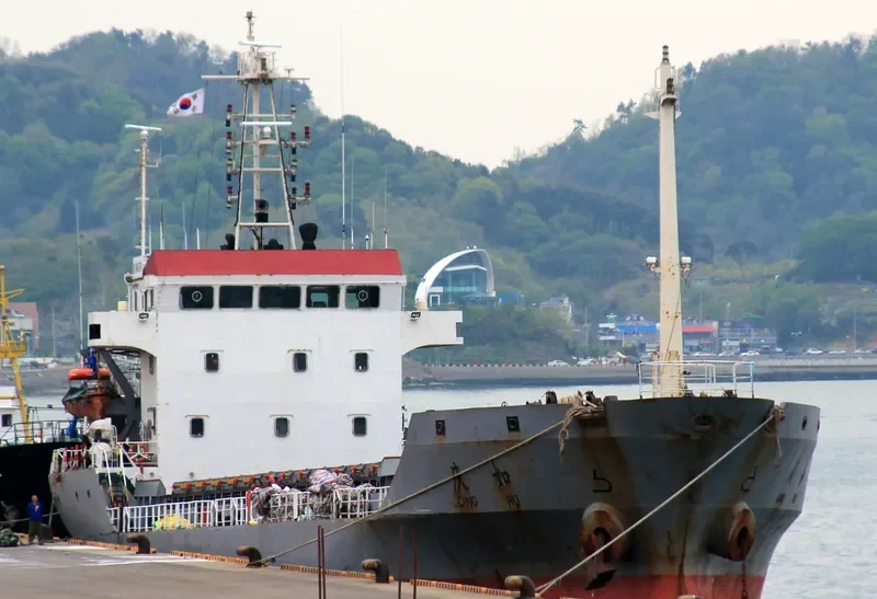 QING RU Bulk Carrier IMO 9402897 photo 3
