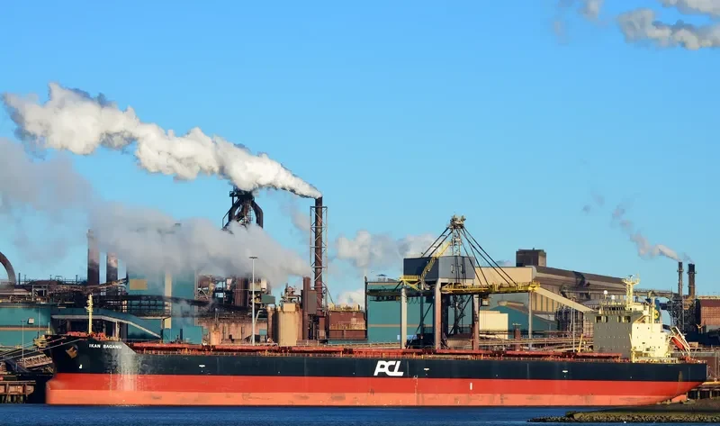 VELA STAR Bulk Carrier IMO 9402938 photo 2