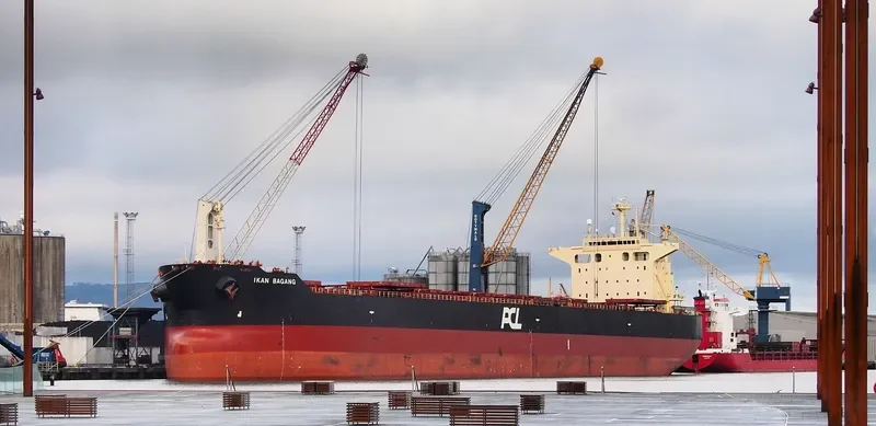 VELA STAR Bulk Carrier IMO 9402938 photo 4