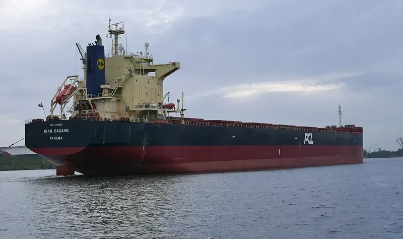 VELA STAR Bulk Carrier IMO 9402938 photo 6