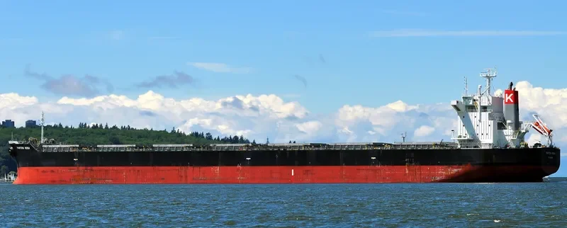 PELAGIA Bulk Carrier IMO 9402940