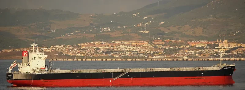 PELAGIA Bulk Carrier IMO 9402940 photo 2