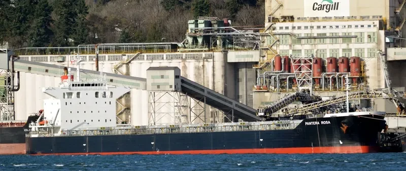 PELAGIA Bulk Carrier IMO 9402940 photo 4