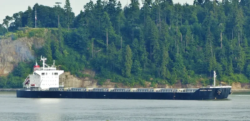 PELAGIA Bulk Carrier IMO 9402940 photo 8