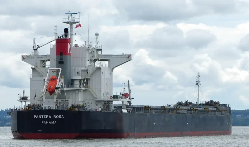 PELAGIA Bulk Carrier IMO 9402940 photo 9