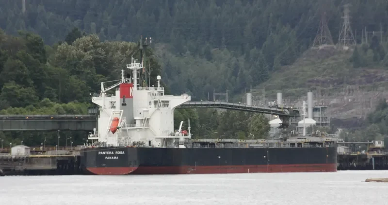 PELAGIA Bulk Carrier IMO 9402940 photo 10
