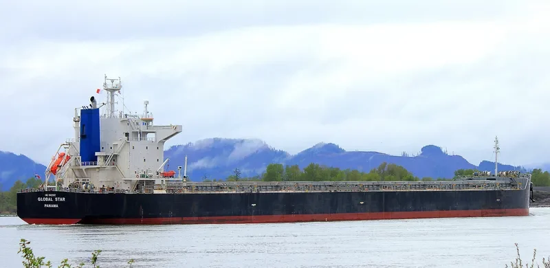 NIAN NU JIAO Bulk Carrier IMO 9402952