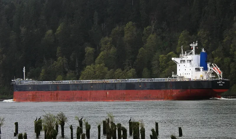 NIAN NU JIAO Bulk Carrier IMO 9402952 photo 5