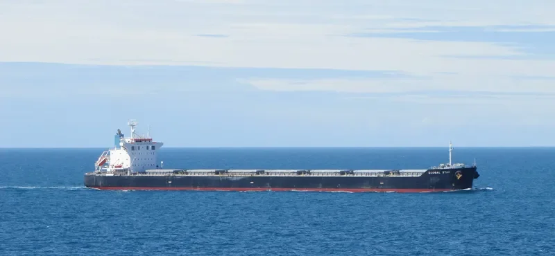 NIAN NU JIAO Bulk Carrier IMO 9402952 photo 9