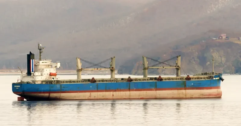 THOR CONFIDENCE Bulk Carrier IMO 9403023 photo 2