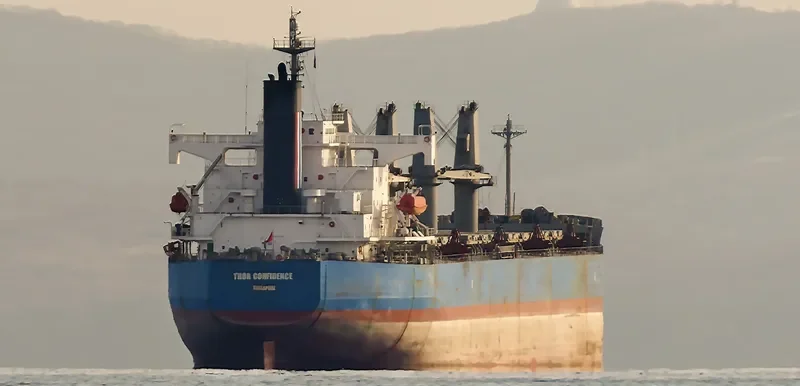 THOR CONFIDENCE Bulk Carrier IMO 9403023 photo 3